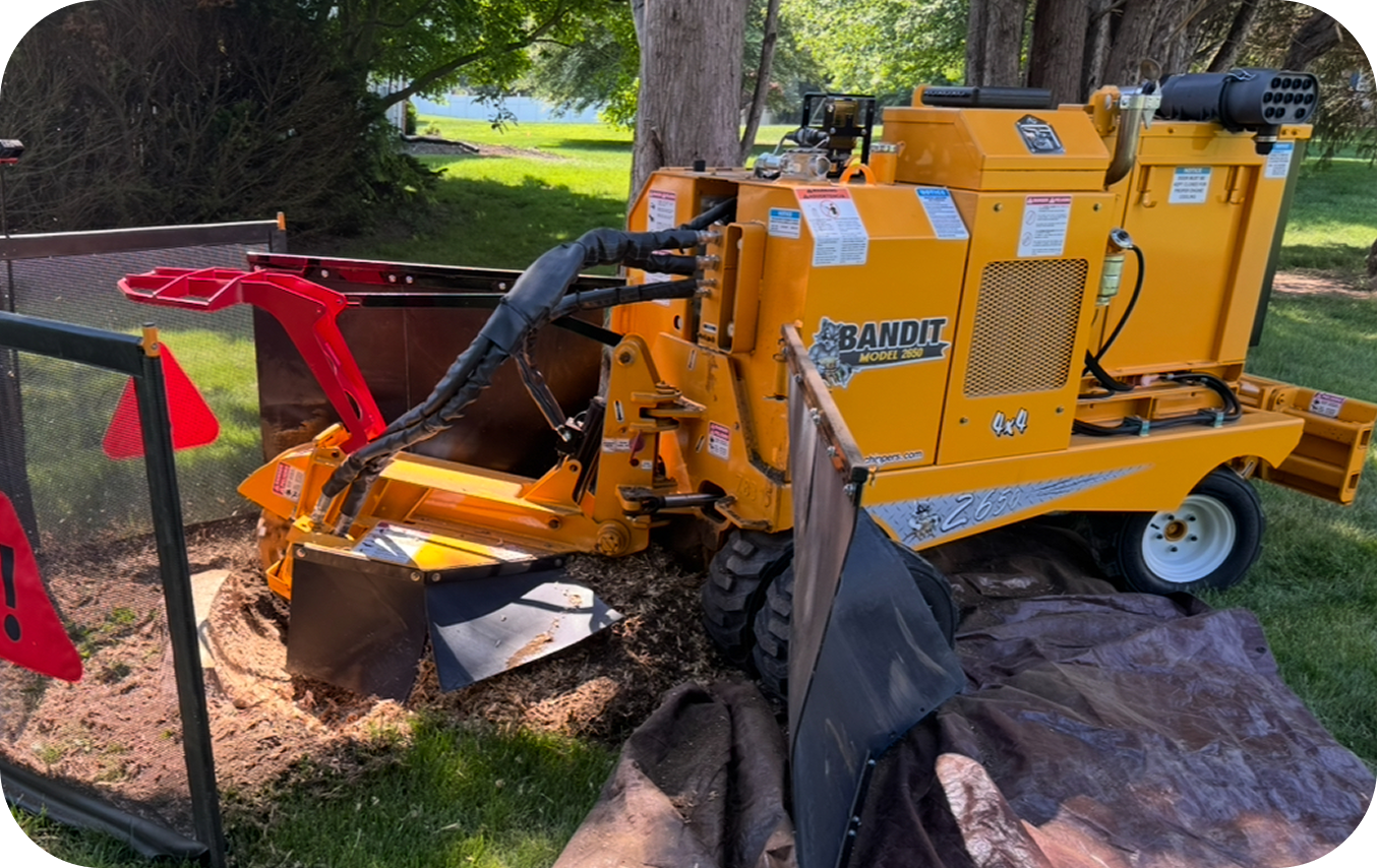 Professional stump grinding in Maryland