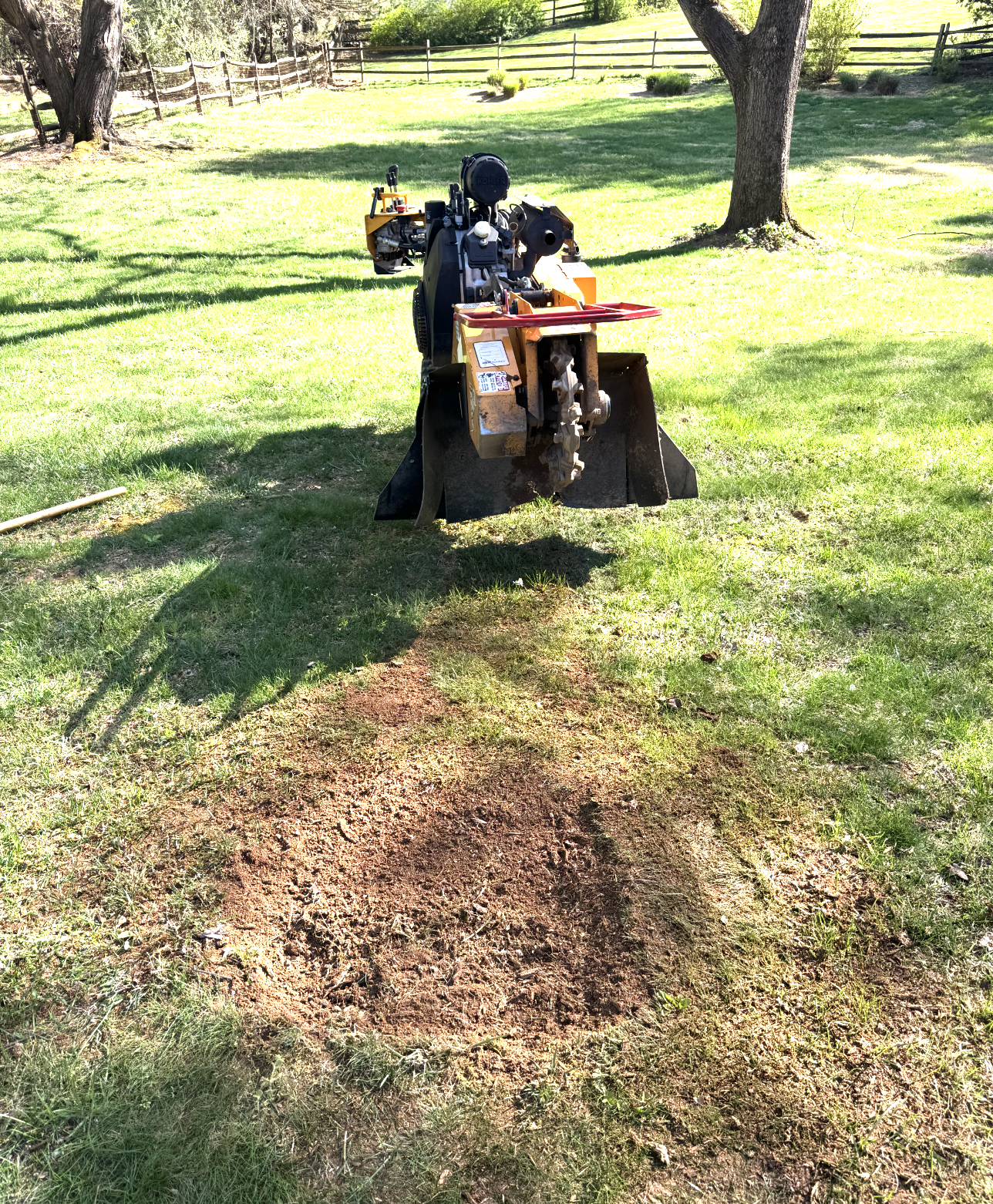 Stump Grinding