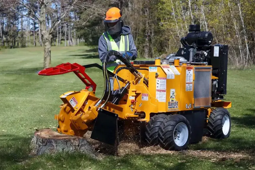 Bandit 2550 stump grinder in action removing a tree stump