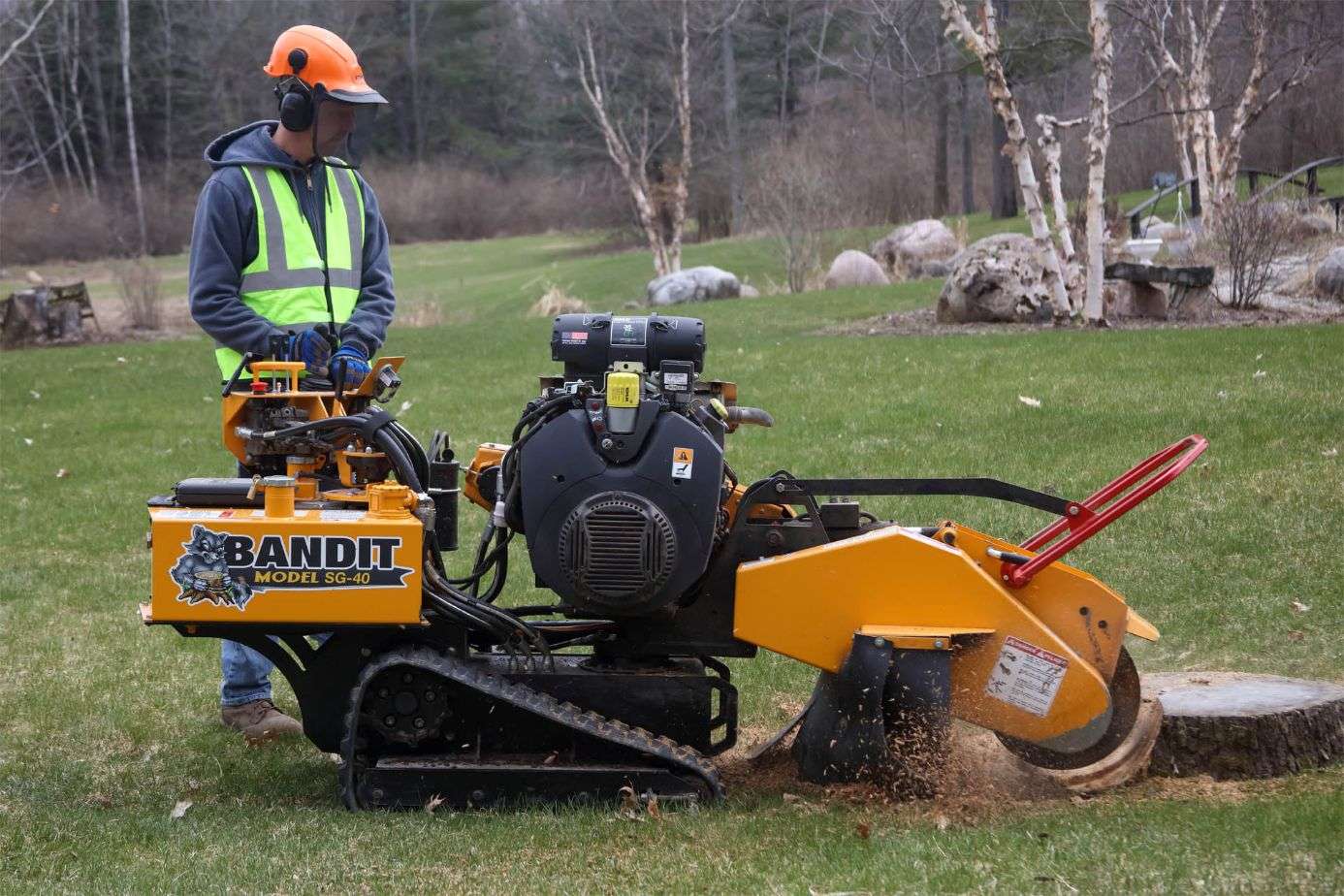 Professional stump grinding in Maryland